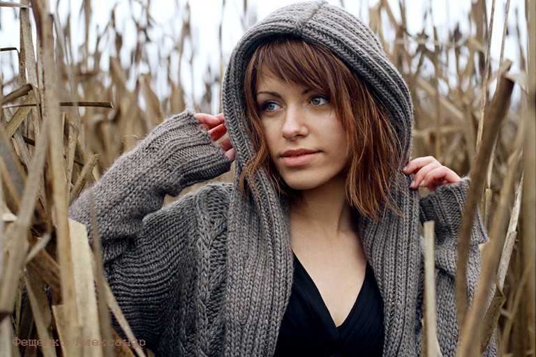 in der Wildnis des Lebens