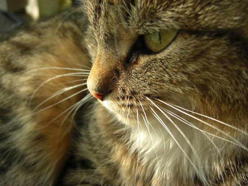 sie sind als Menschen ...