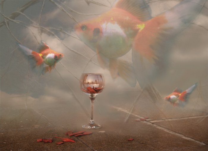 Dreams Come True ...