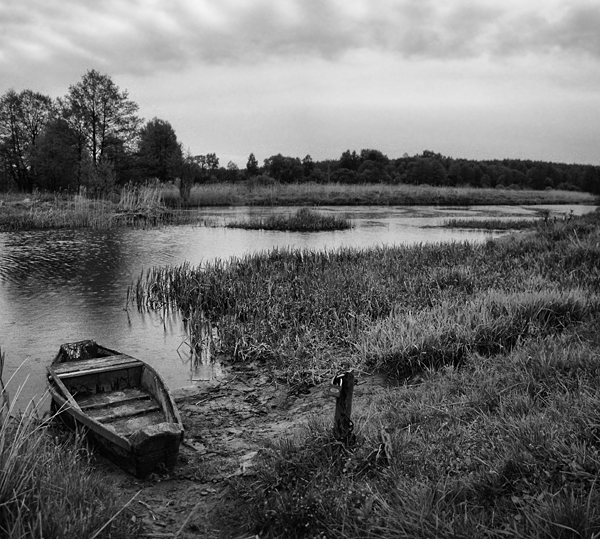 ......................... Mournful ......................