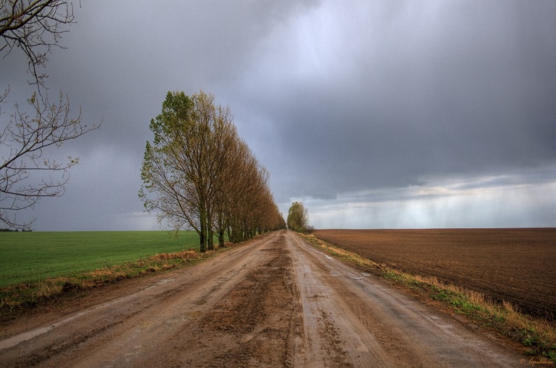 Gemessen Lauffläche des Frühlings ..