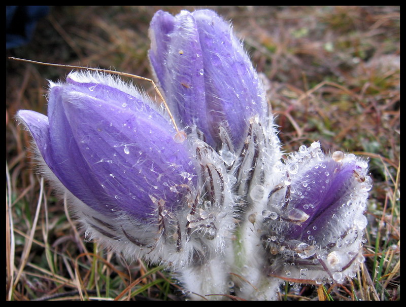 Morning Zärtlichkeit ...