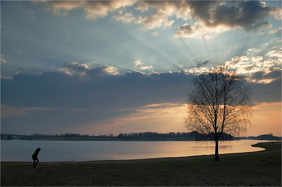 Animierte Landschaft