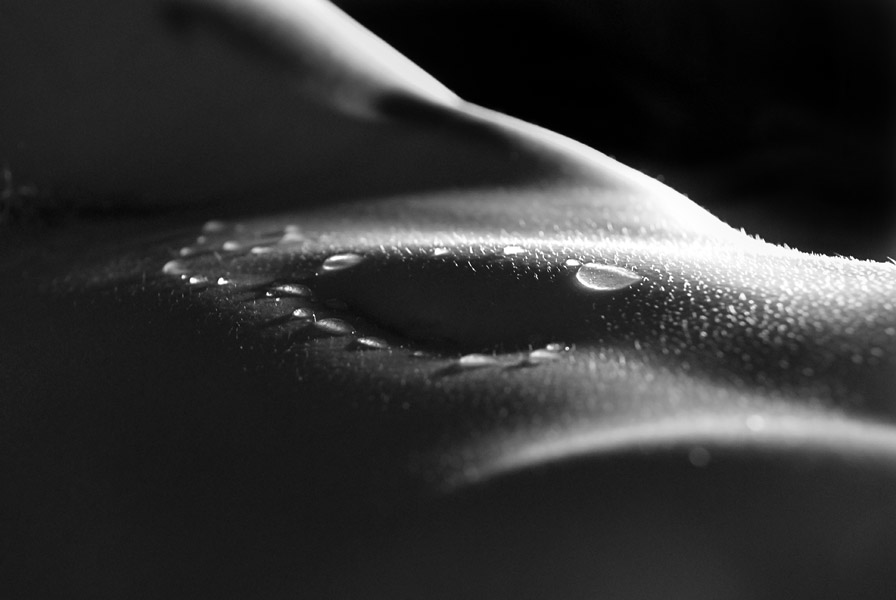 ... und Tropfen Honig