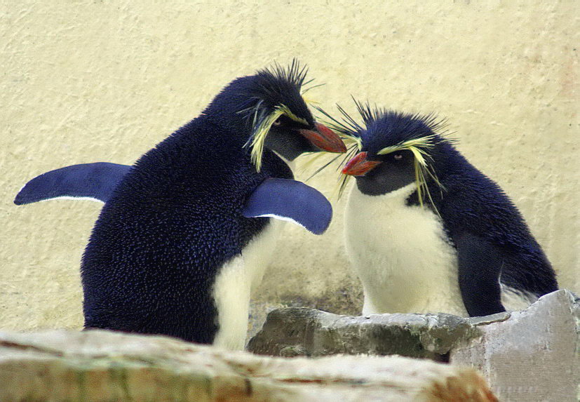 Eine Geschichte über die Fischerei (mit Elementen der Übertreibung)
