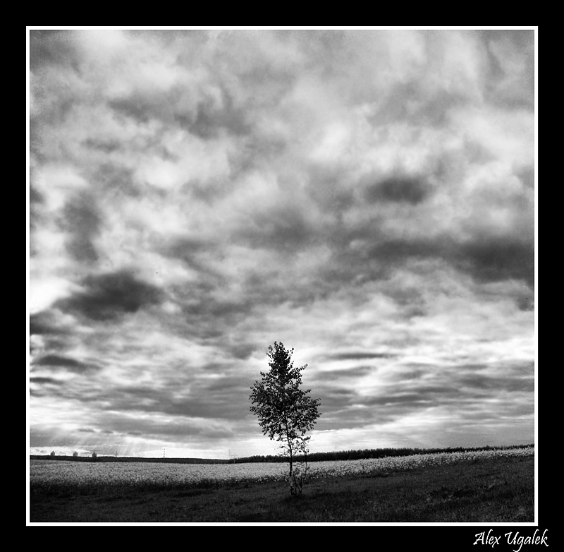 Mental ................ ..............