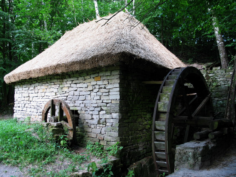 Mnoga zyarna - kuplyay svinney viel groshau kuplyay Mlyn