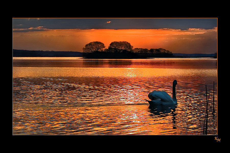 "Begann droht der Vogel des Glücks .."