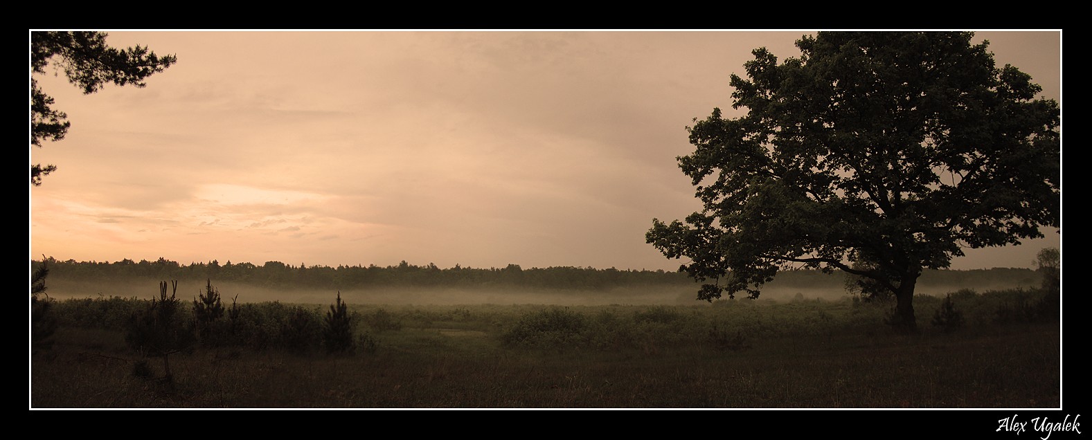 ........... Wenn der Nebel den Boden berührt ..........