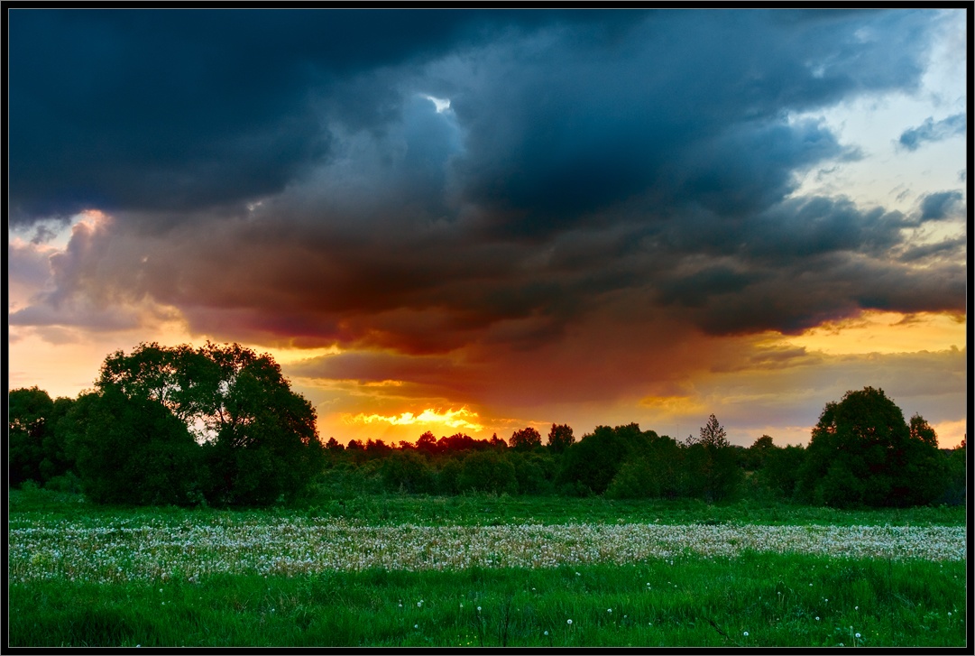 Panzer rollten über das Feld ...