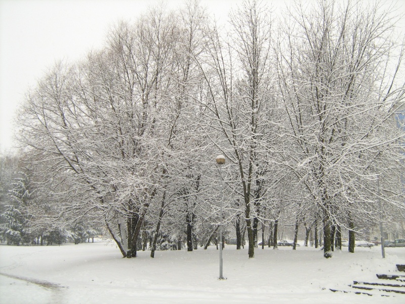 Jahreszeiten. einem Ort
