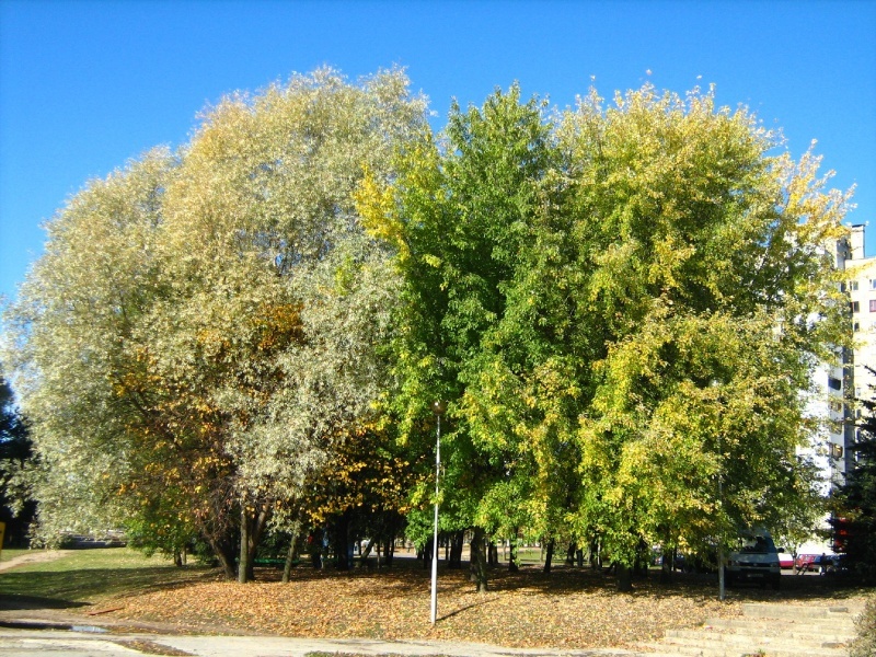 Jahreszeiten. ein mesto_3