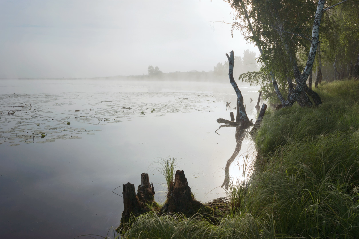 Nebliger Morgen