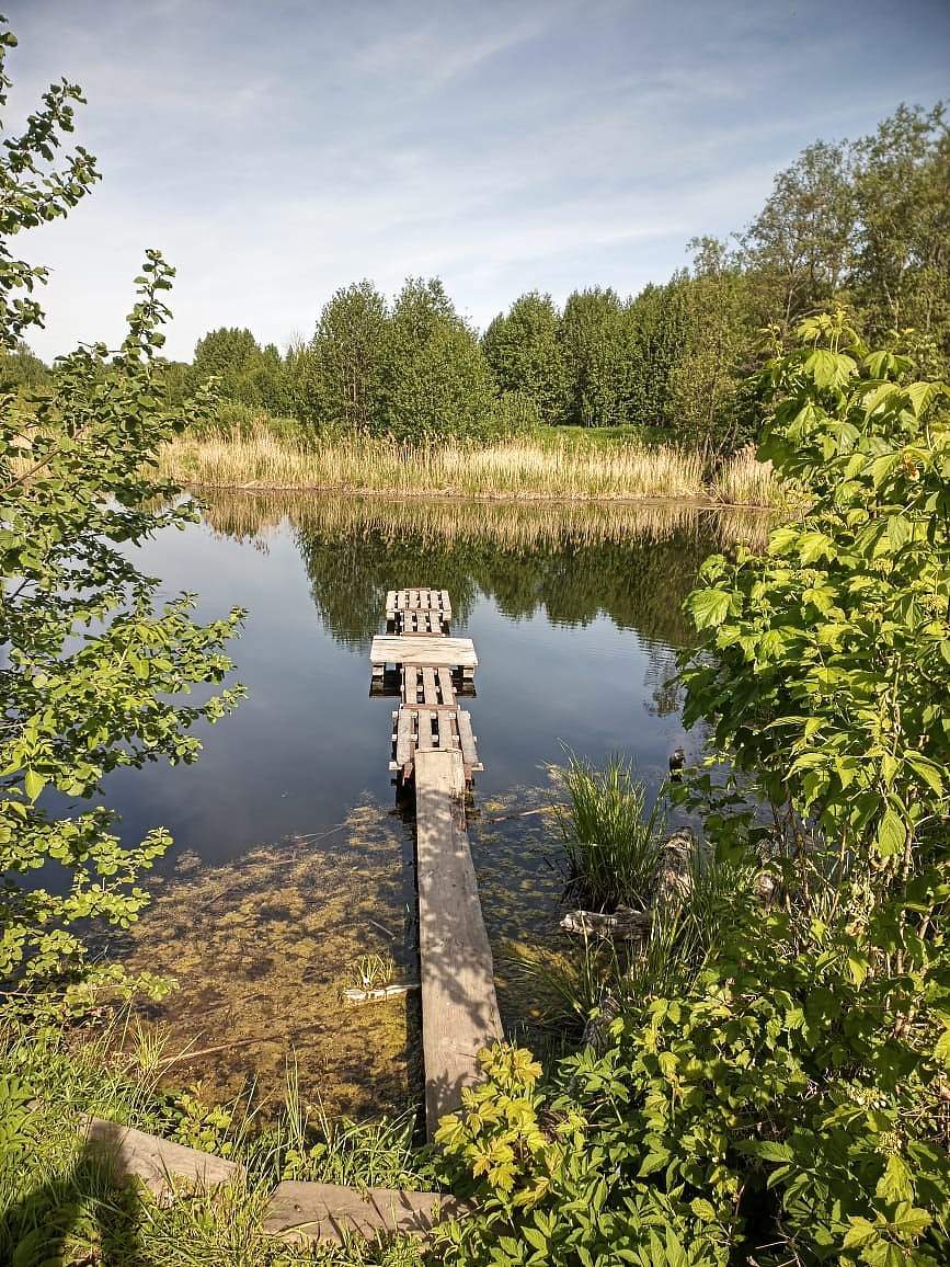 ..............................