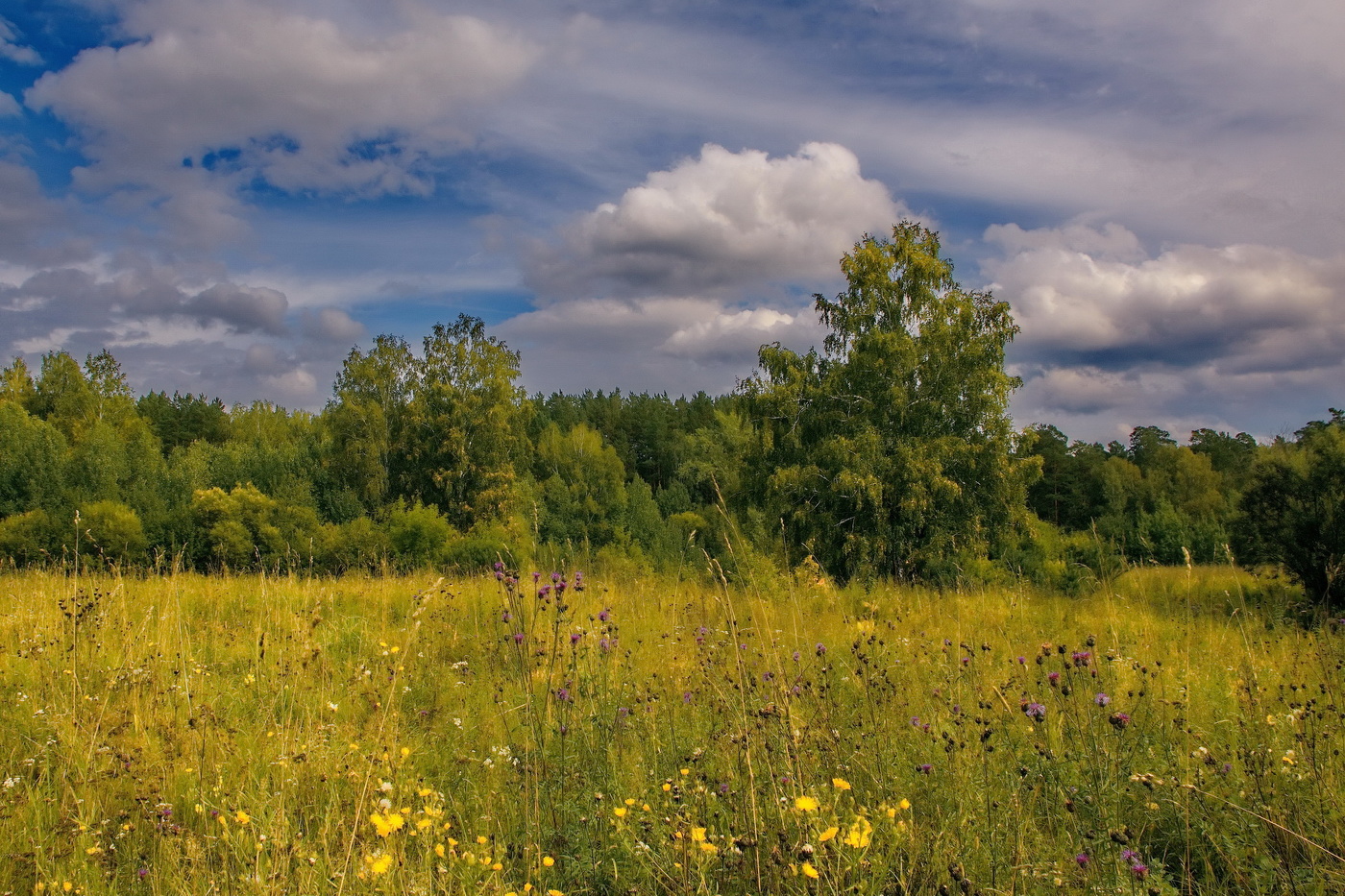 Am Ende des Sommers.