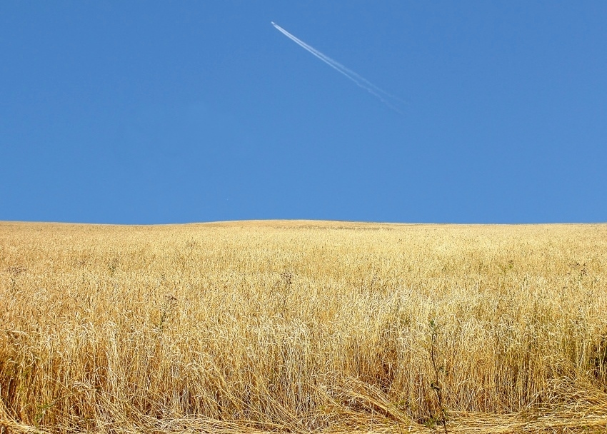 .............................................