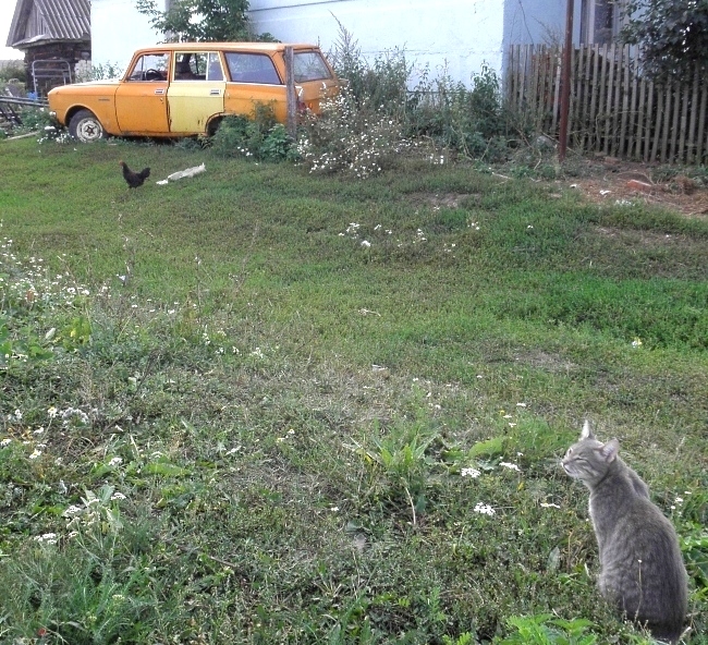 .............................................