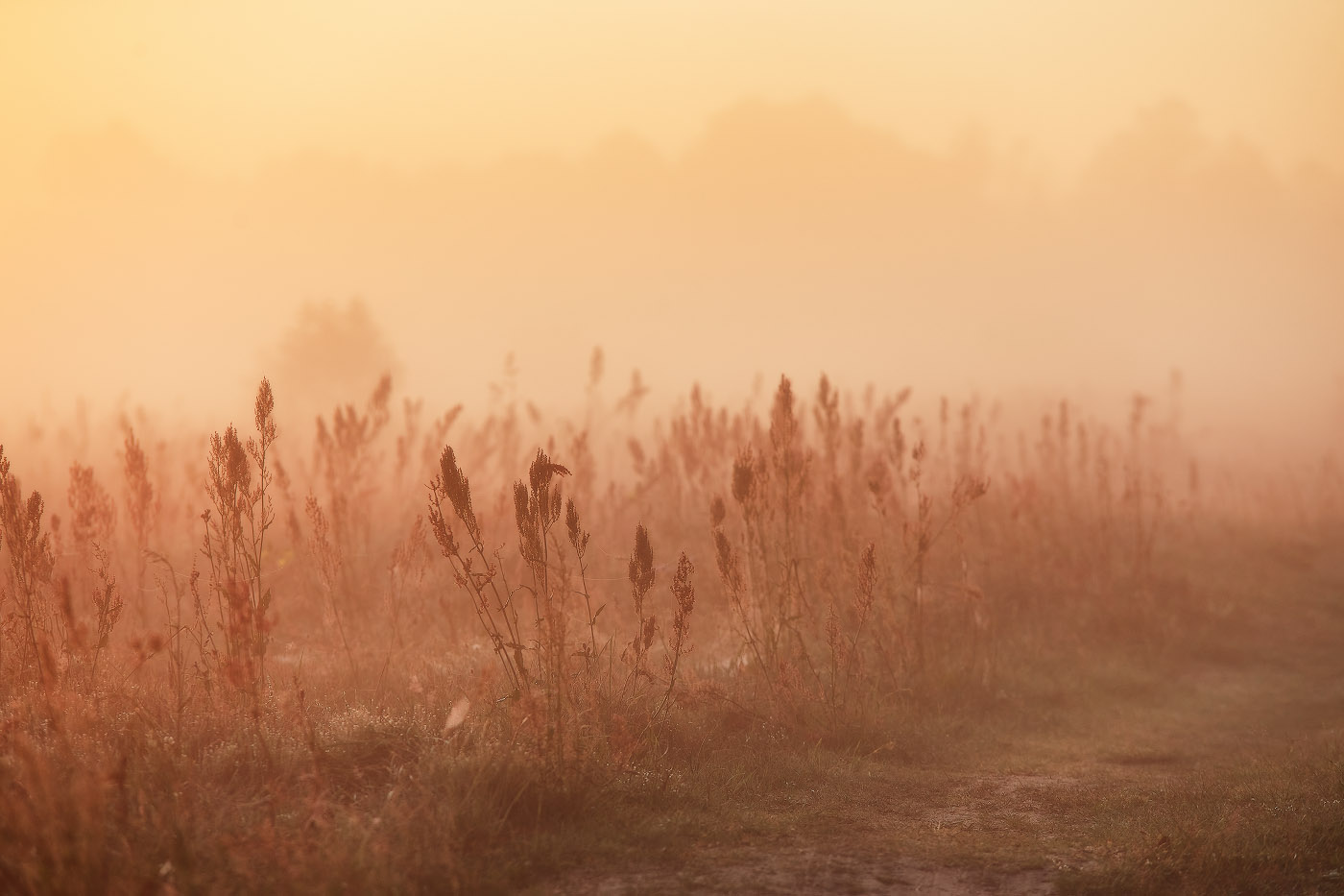 Auf Wiedersehen, Sommer!
