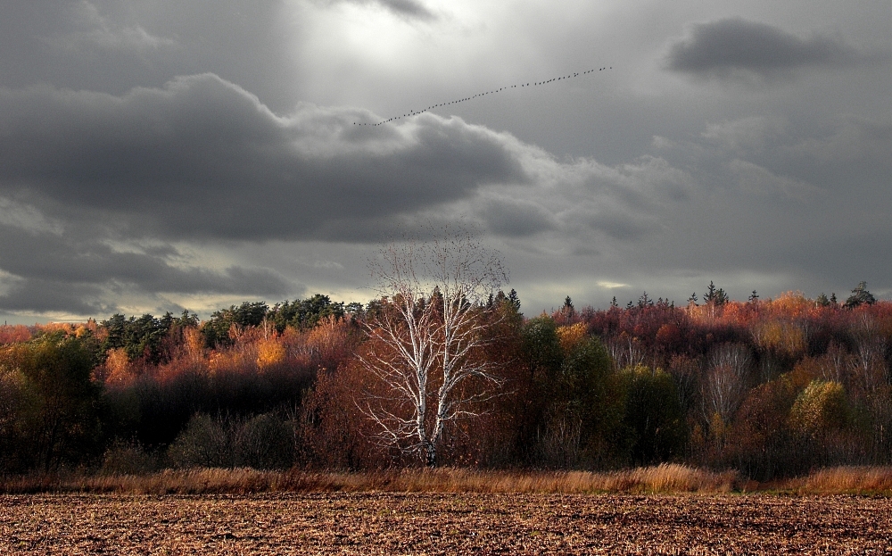 .............................................