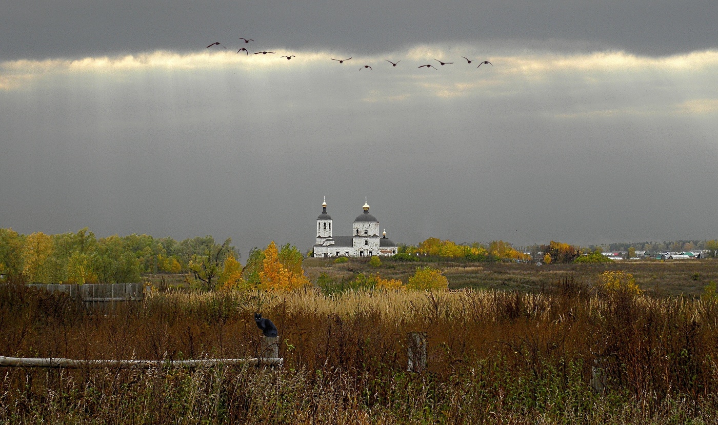 .............................................