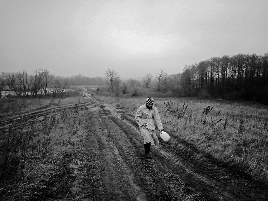 Für Schneeglöckchen