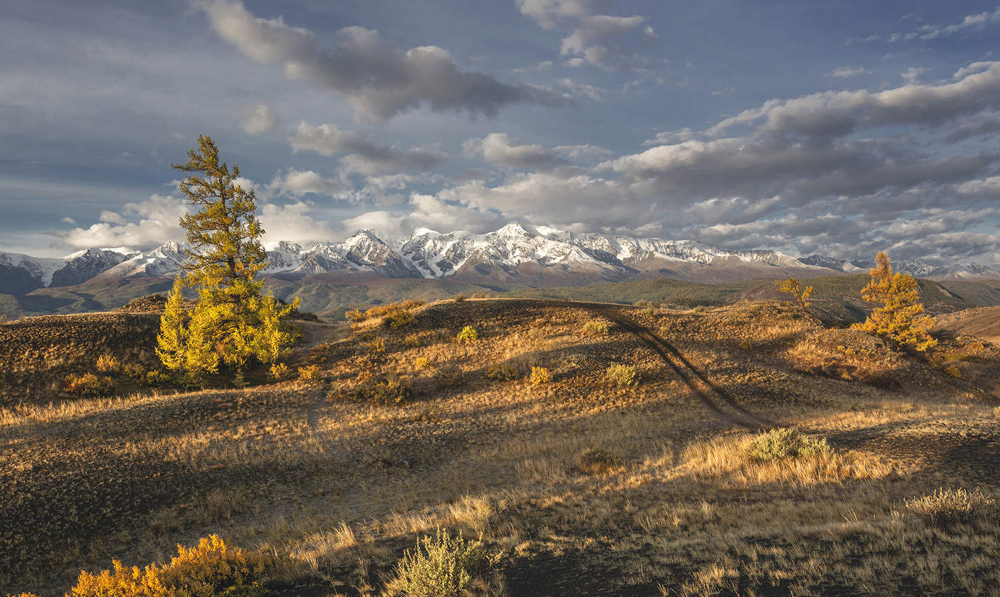 Autumn Altai