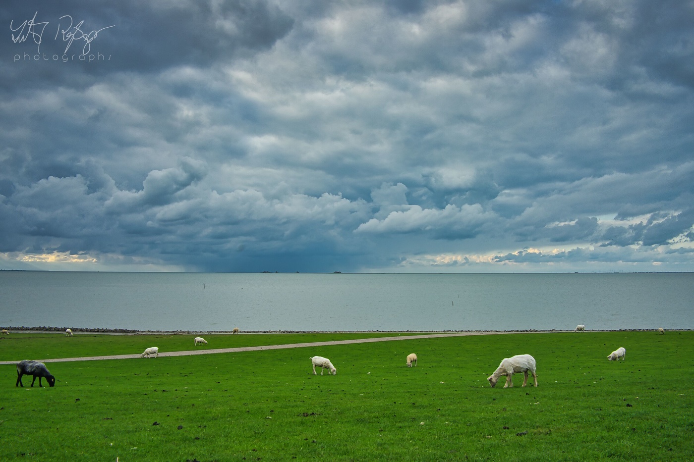 Ja, der Summer ist gegangen...