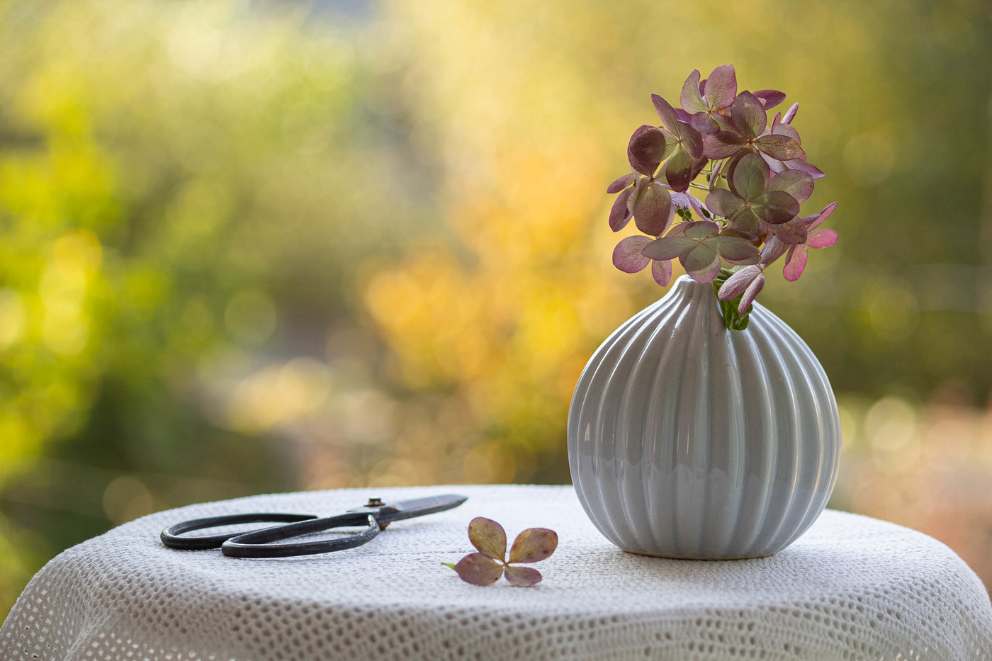 auf Herbst Hintergrund