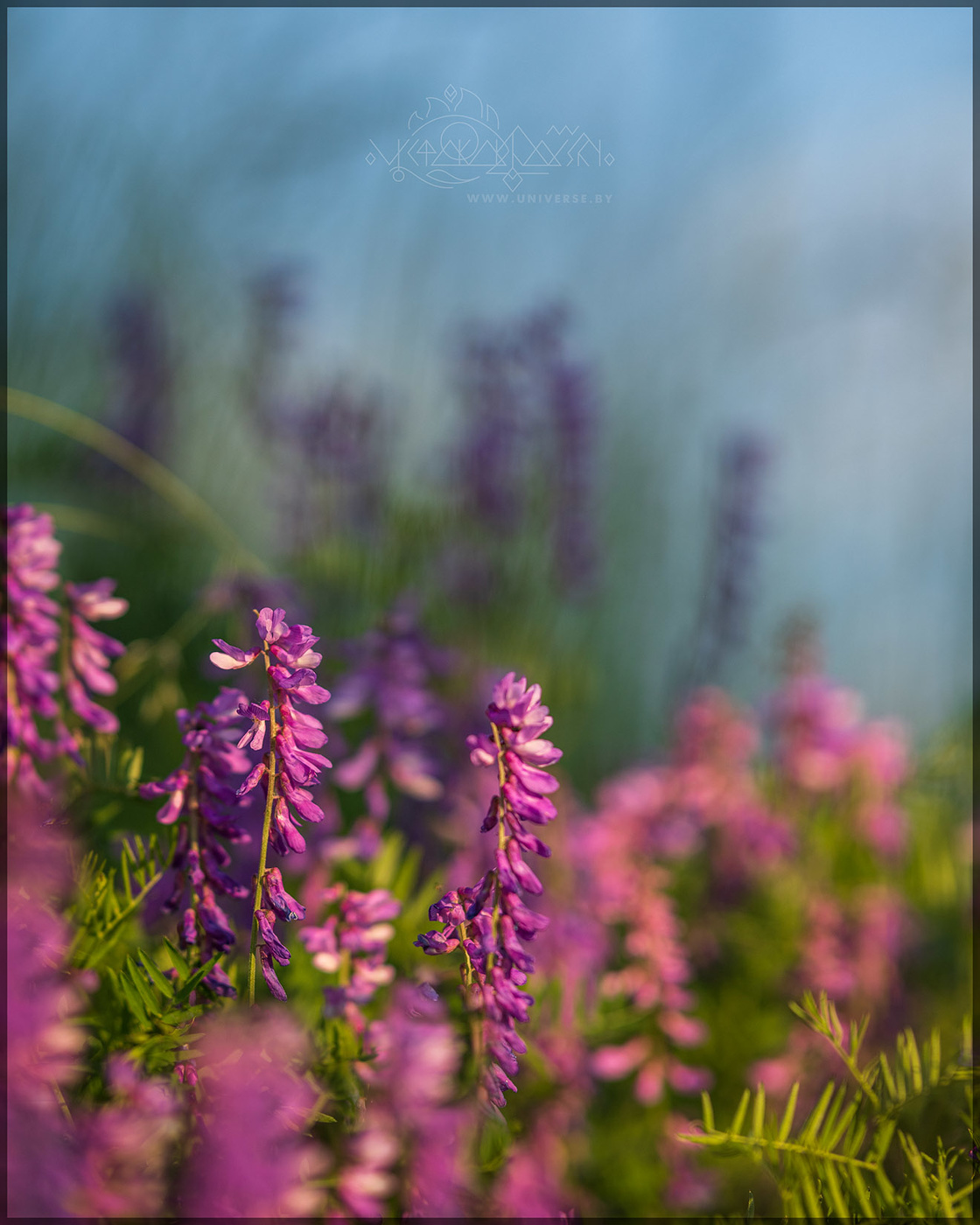 A little bit of a passing summer