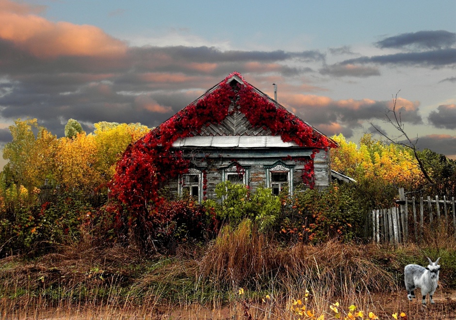 .............................................