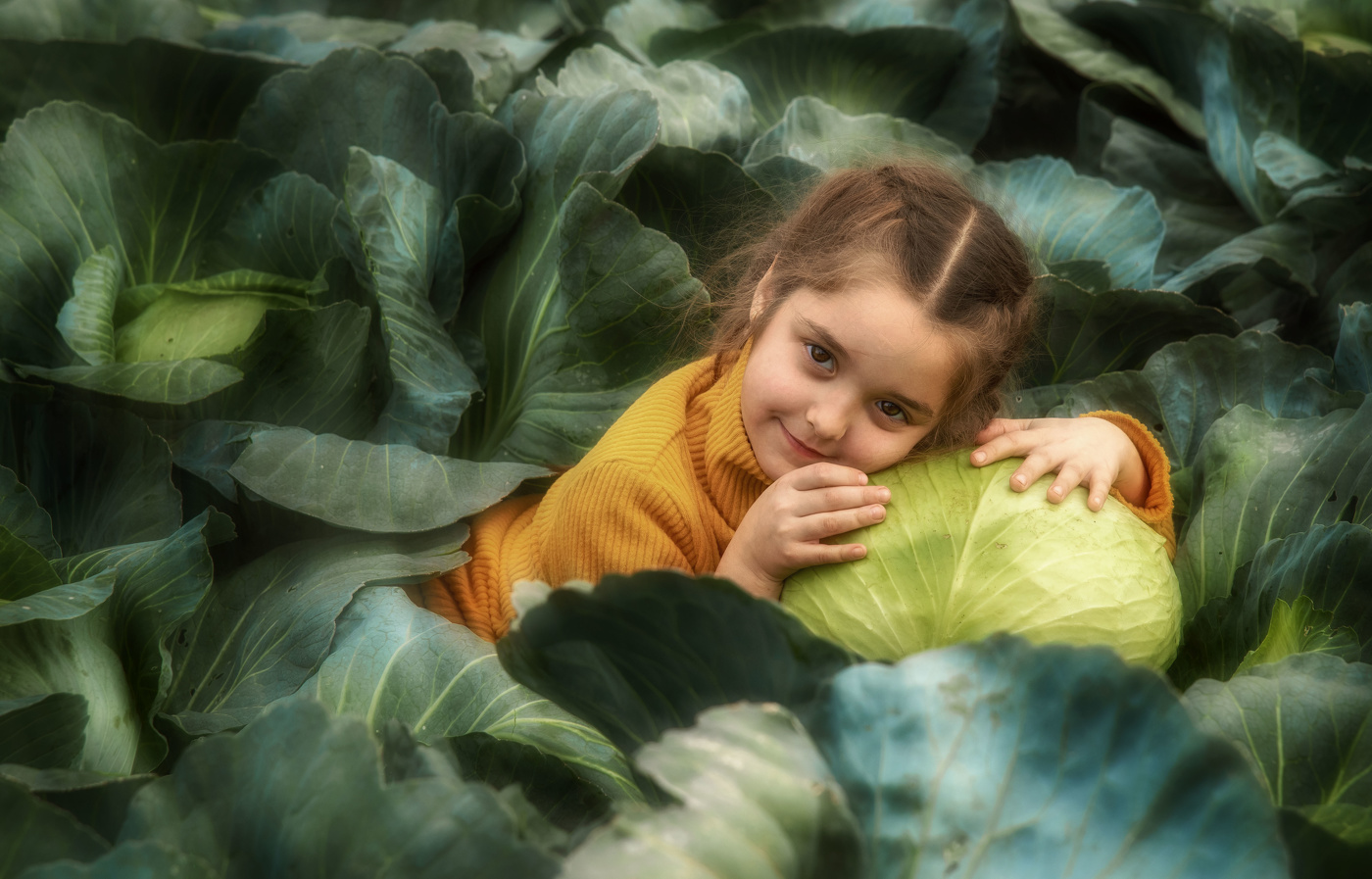 Kohlkopfschmetterling
