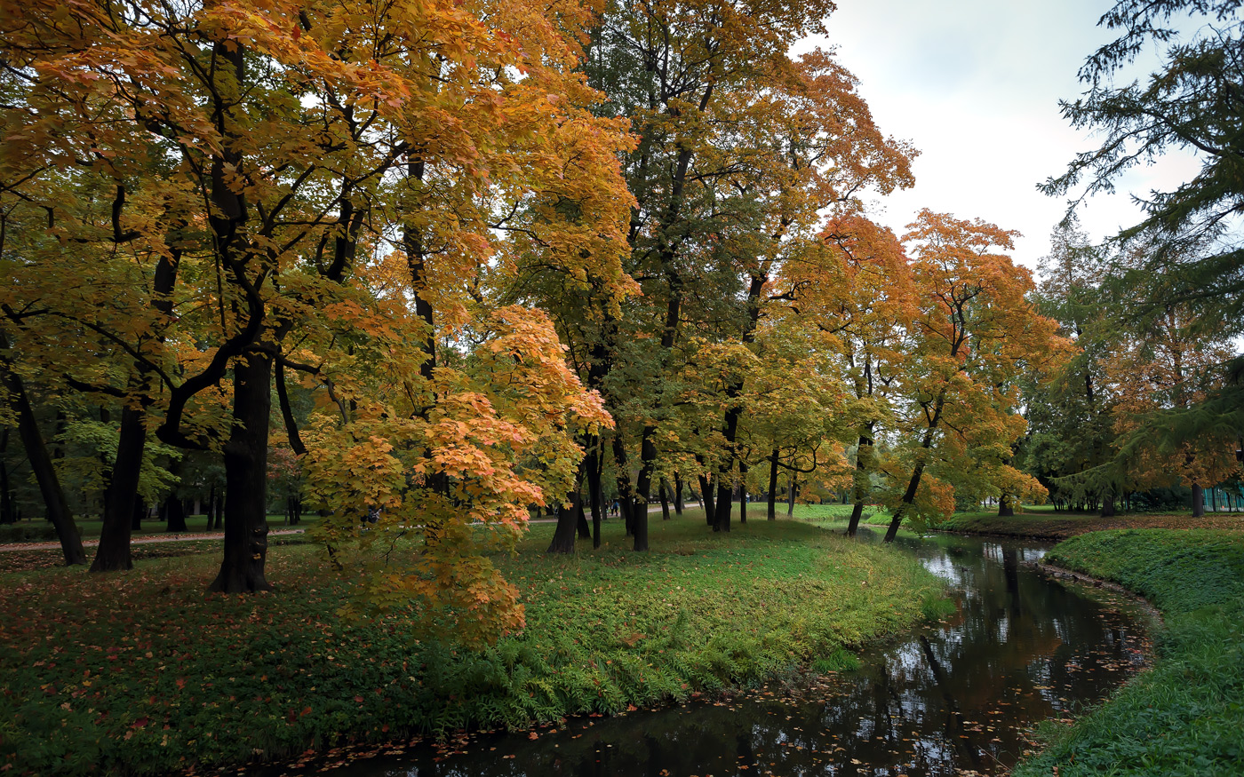 Im Herbst des Parks ...