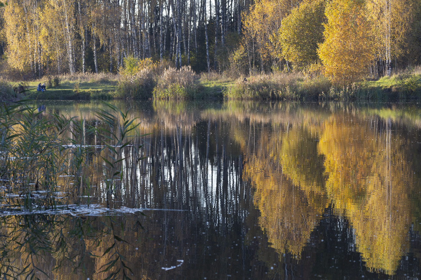 Die Palette des Herbstes