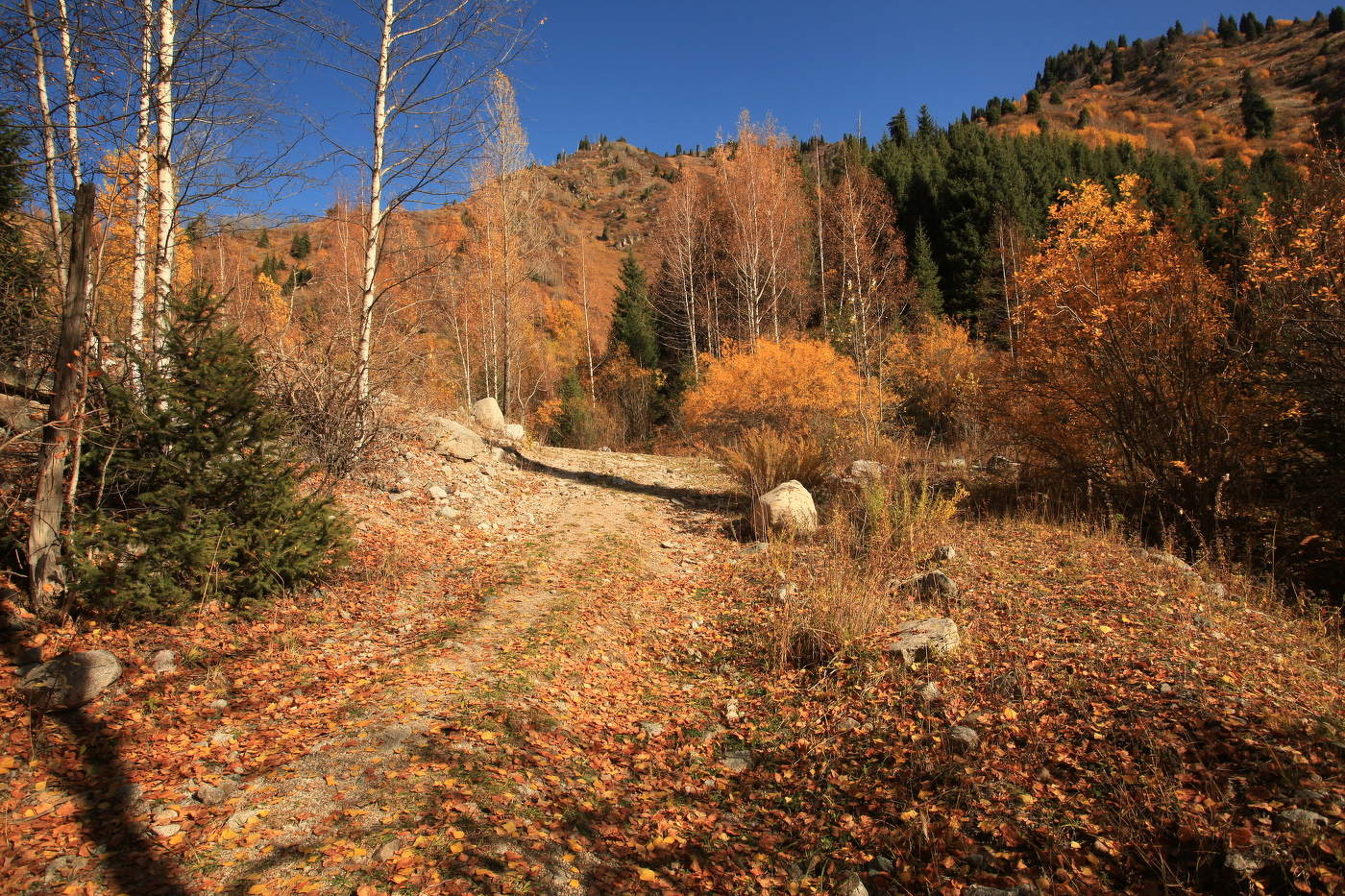irgendwo in den Bergen