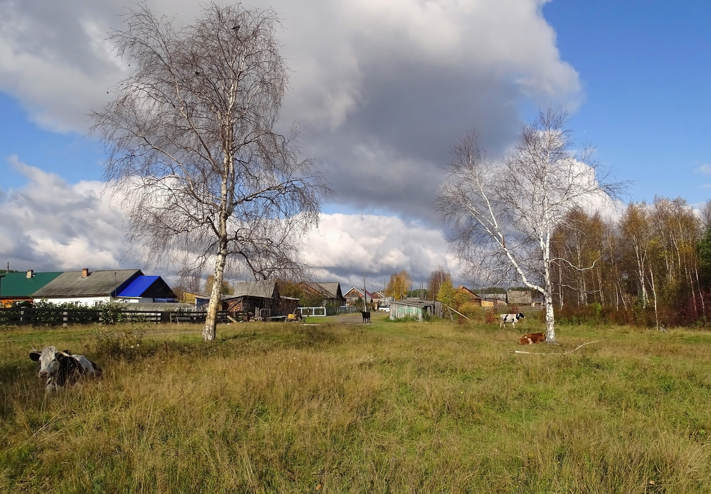 Am Stadtrand von ...