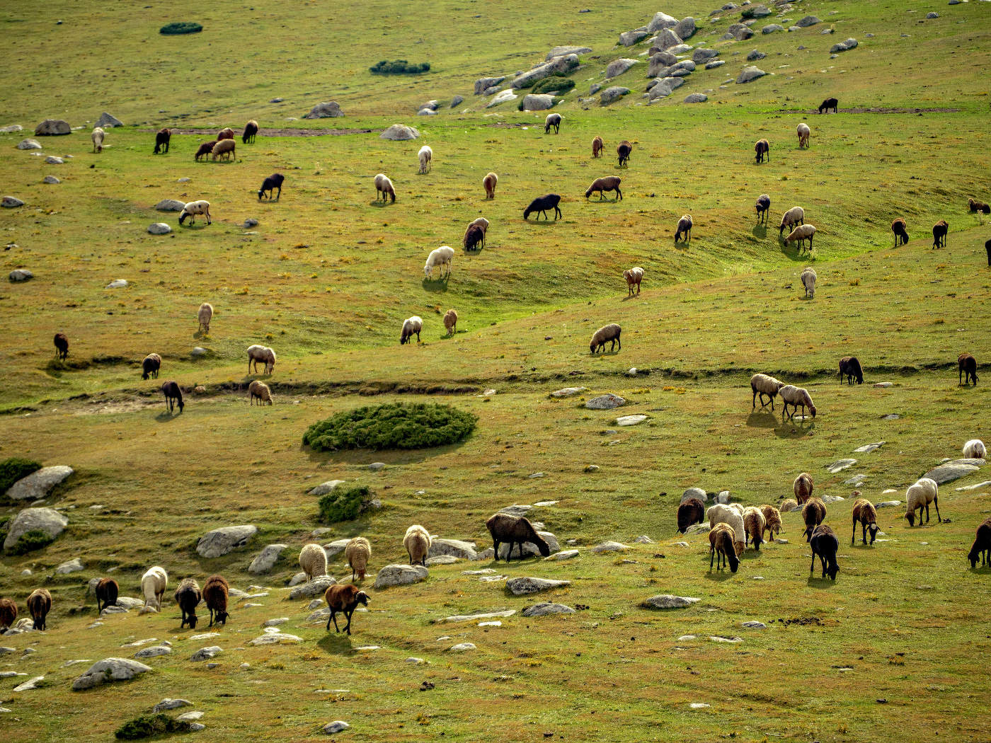 irgendwo in den Bergen
