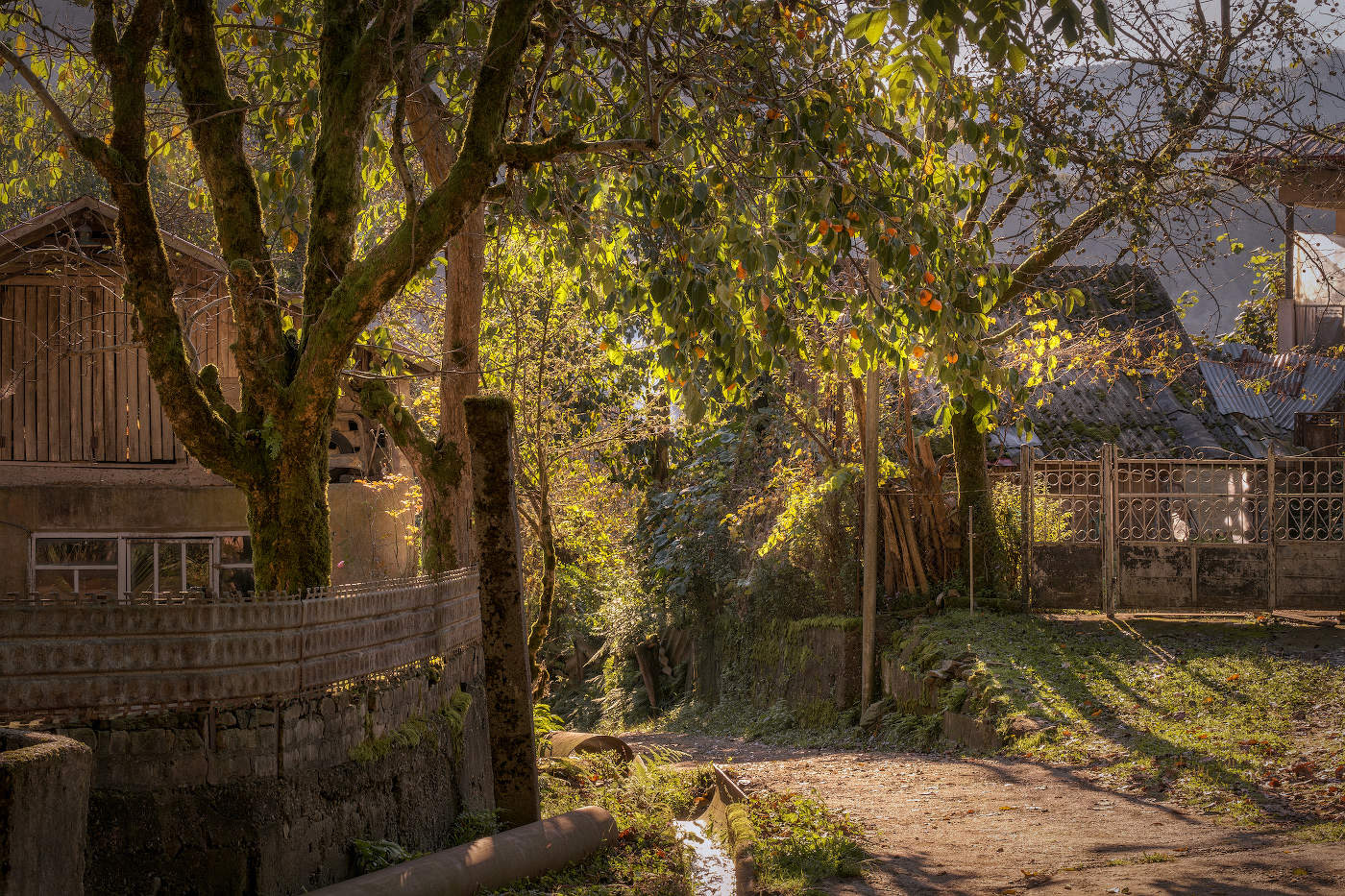 Morning Light In Kapnistavi Village