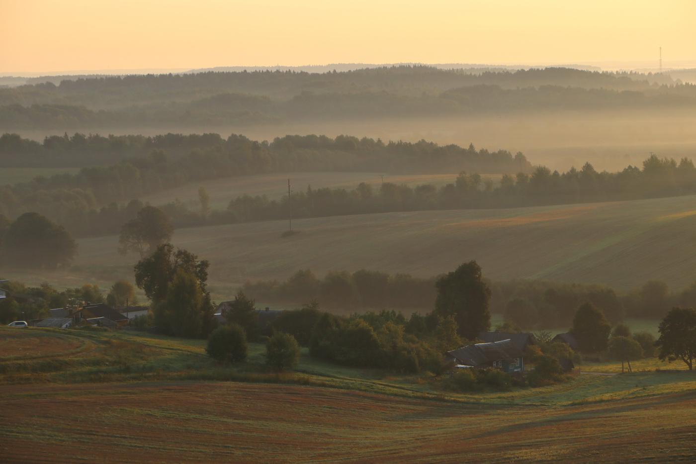 Einheimische Freiflächen