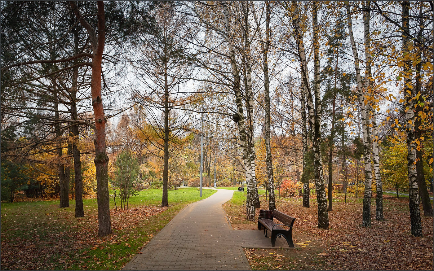 Im Herbst des Parks ...