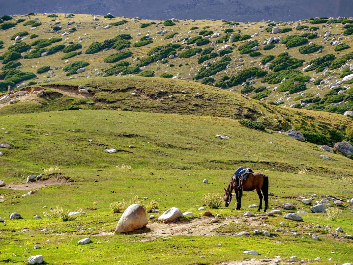 irgendwo in den Bergen