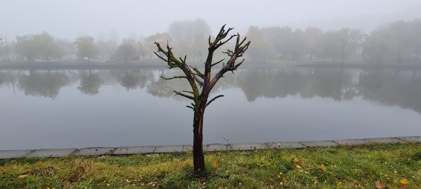 Im Herbst letzten Jahres ...