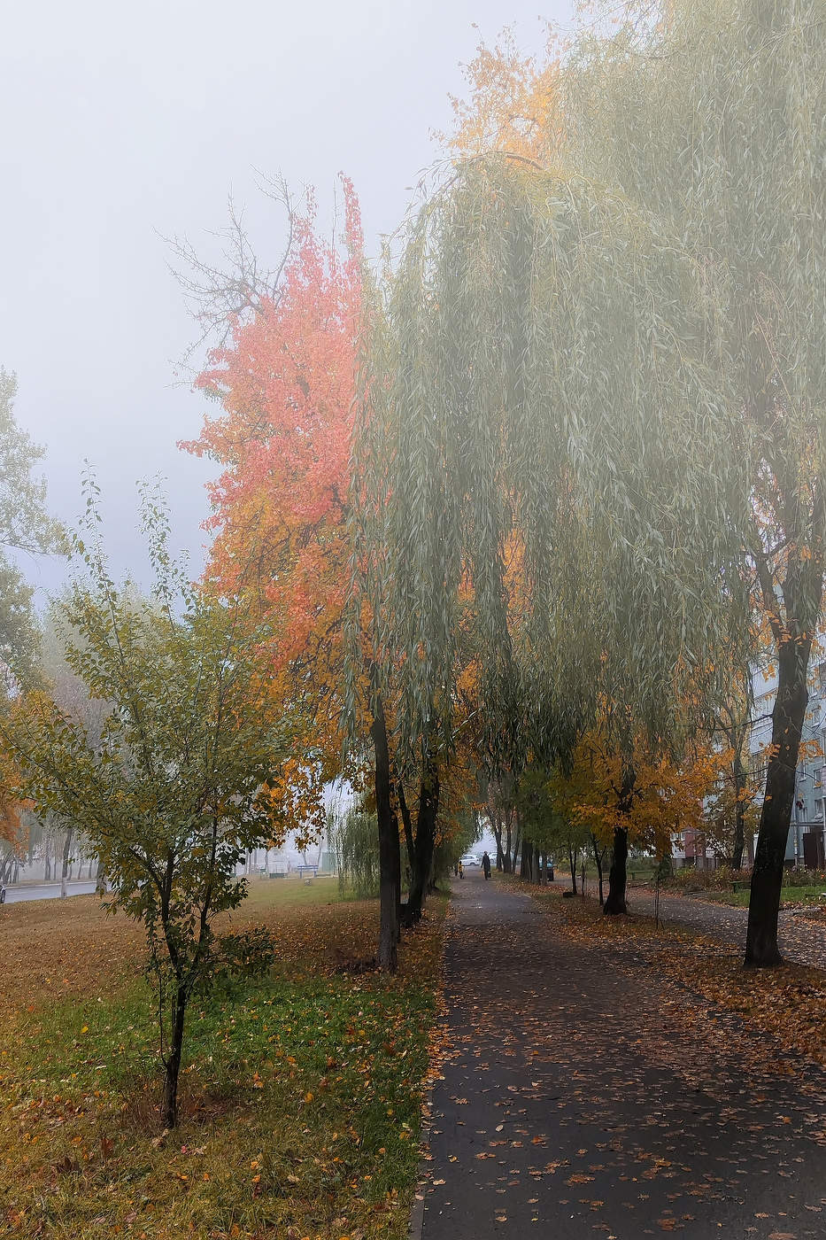 Sonnenaufgang über dem Fluss