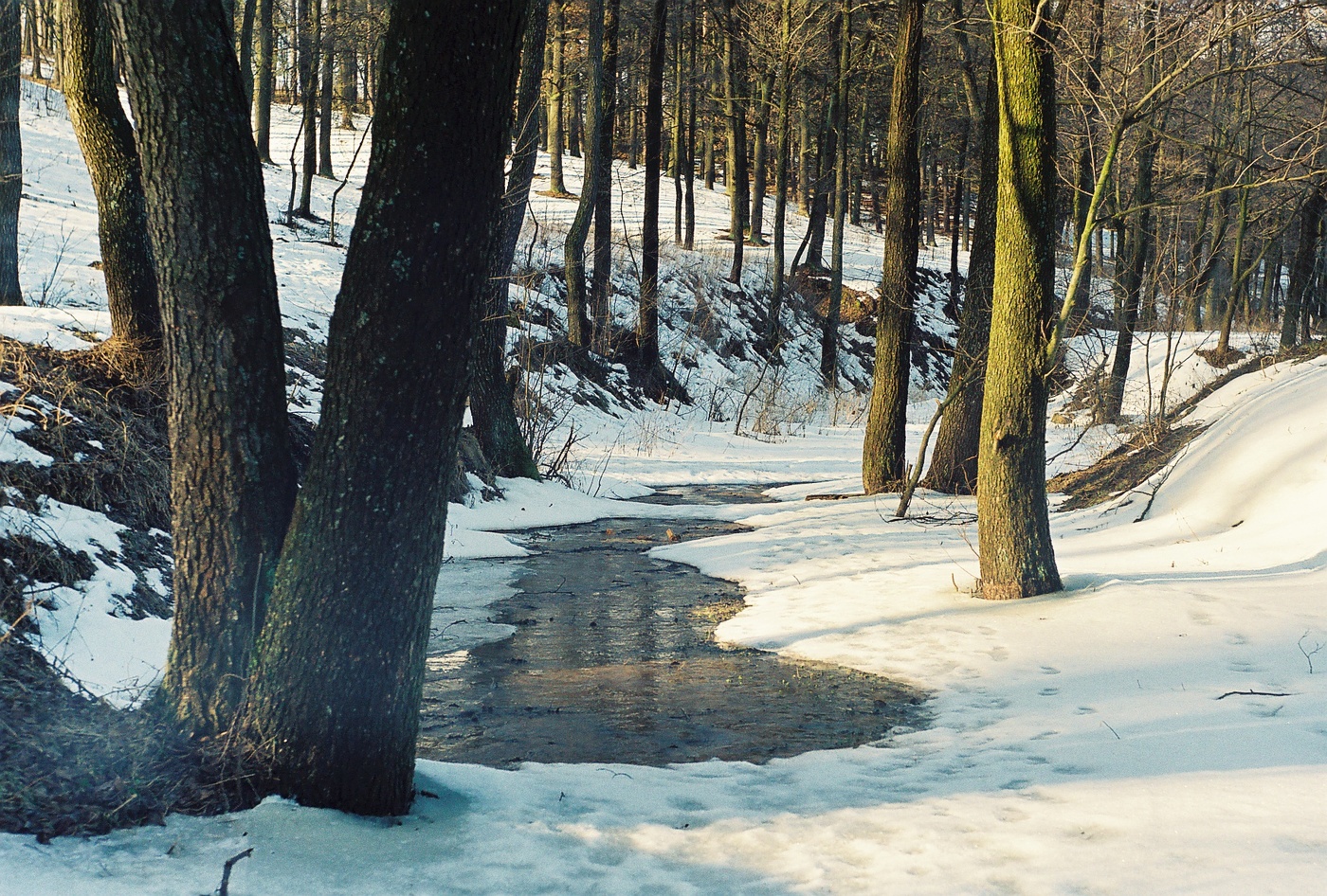 Für eine halbe Stunde, bis die Feder