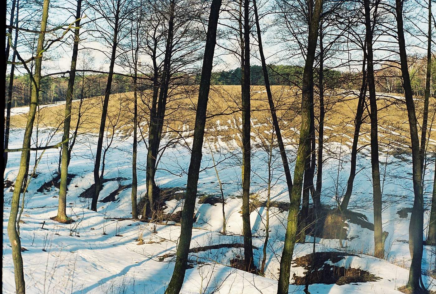 Für eine halbe Stunde, bis die Feder