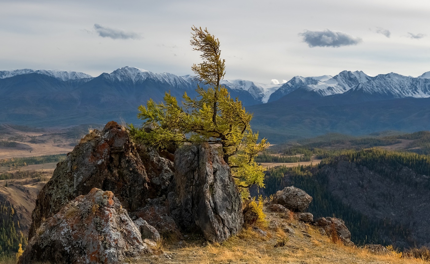 Altai Herbst