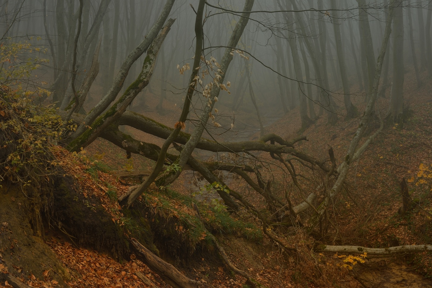 Sonnenaufgang über dem Fluss