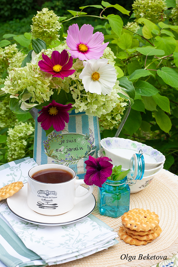 Blumenstrauß aus Kosmos