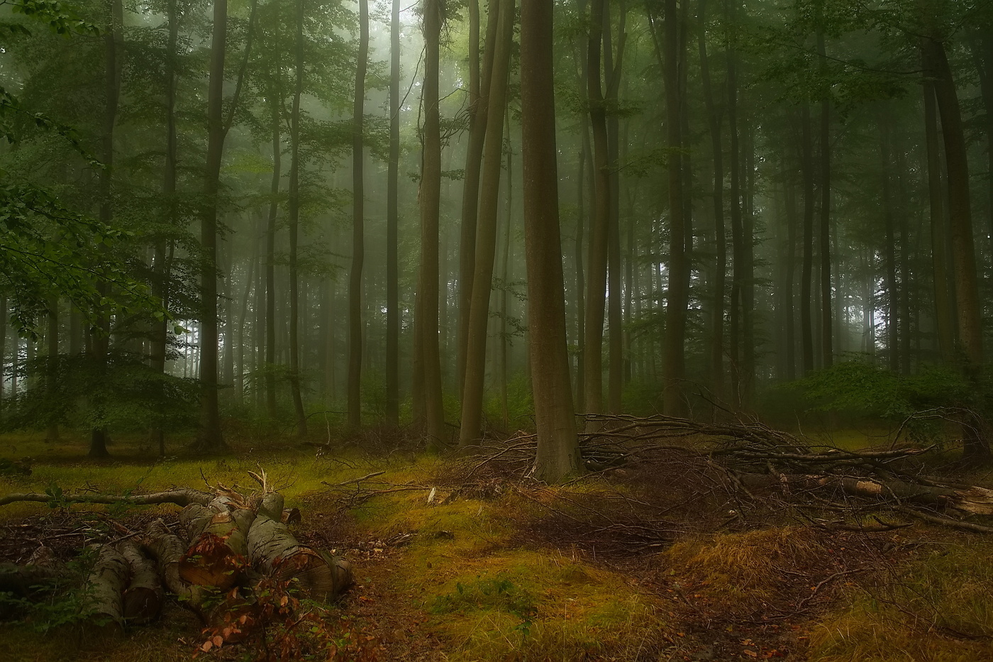 an der Schwelle zum Herbst