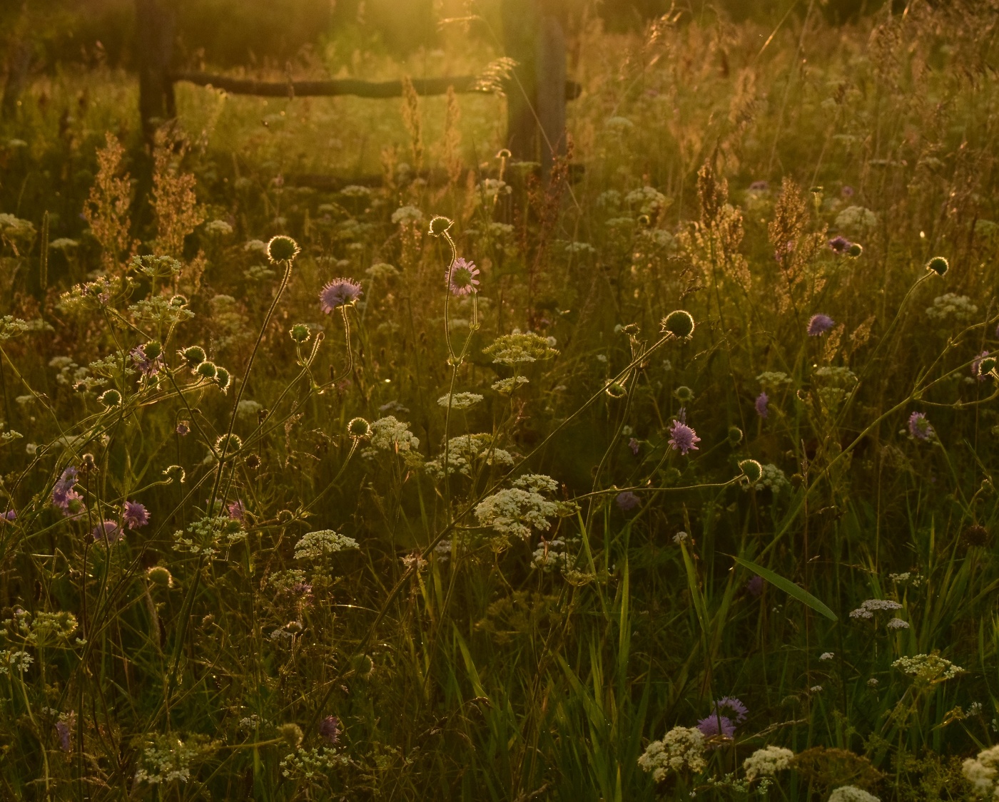 In den Sonnenuntergang.