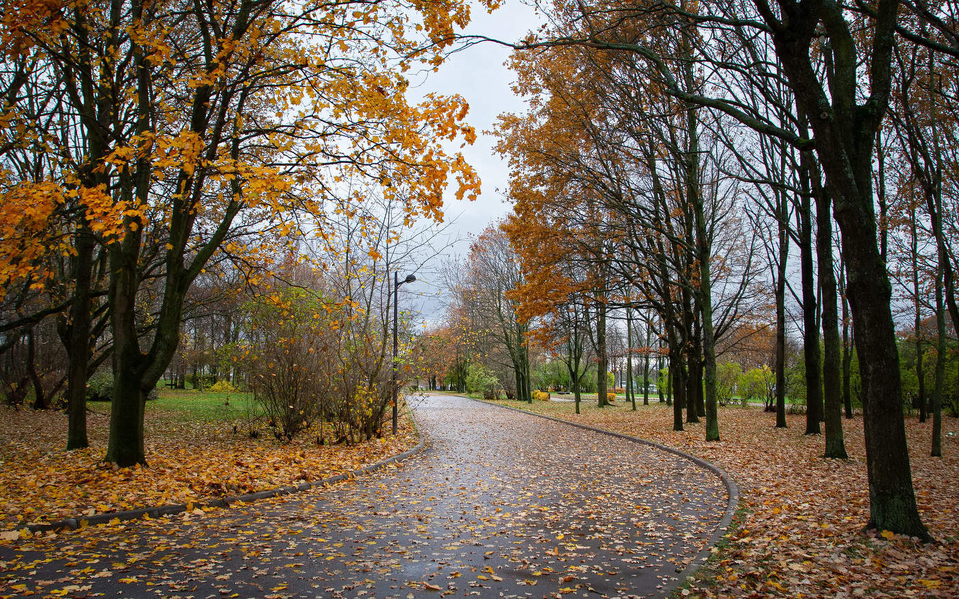 Im Herbst des Parks ...